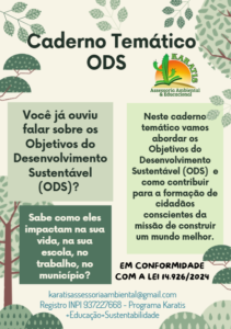 Captura-de-tela-caderno-ODS