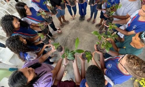 Curso de Formação Continuada Para Professores: Saberes Ambientais na Escola: Educação, Clima, Saúde e Jogos em Perspectiva Transversal